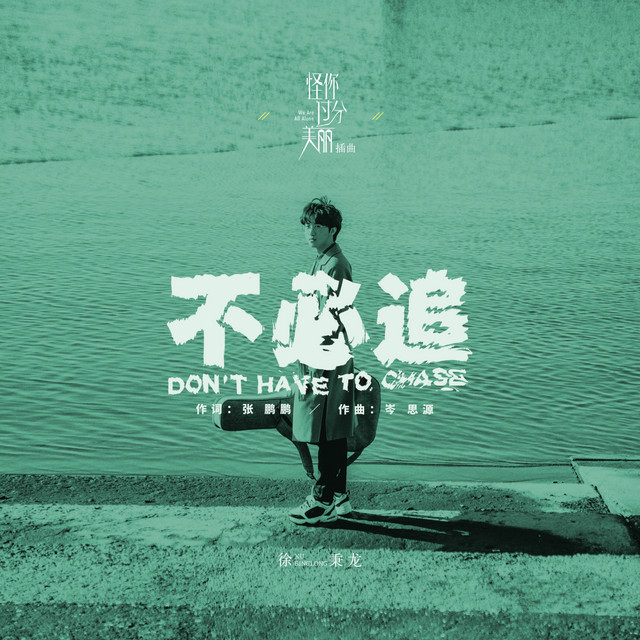 Capa de 不必追 - 电视剧《怪你过分美丽》插曲 - 徐秉龙