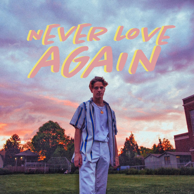 Cover of Never Love Again