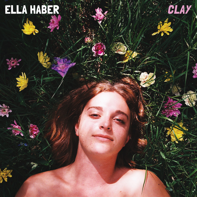 Clay cover
