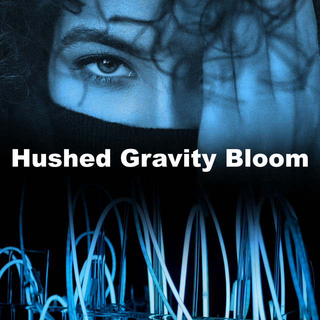 Hushed Gravity Bloom cover art