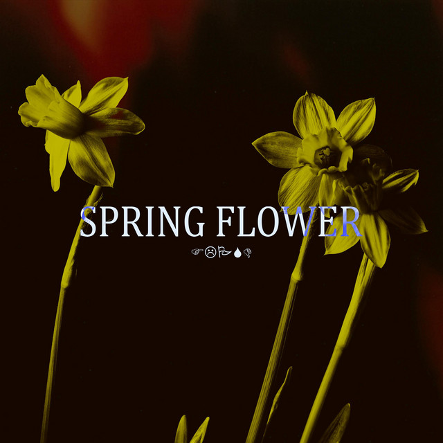 Spring Flower - Single by FLPBND | Spotify