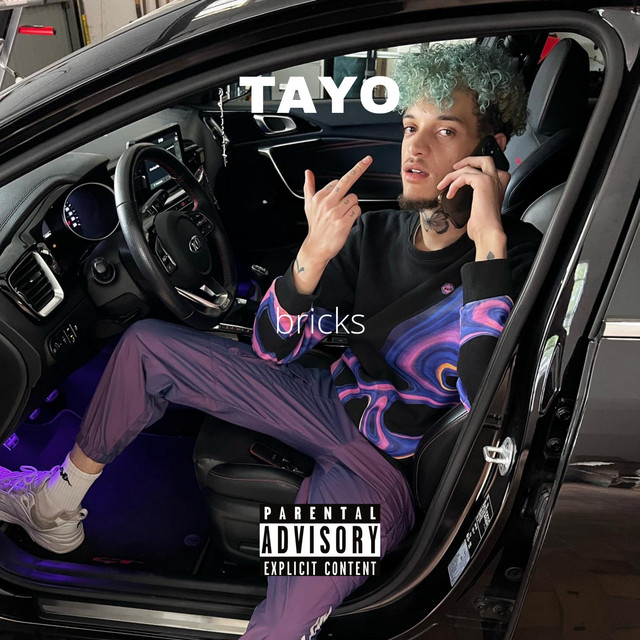 Bricks cover art