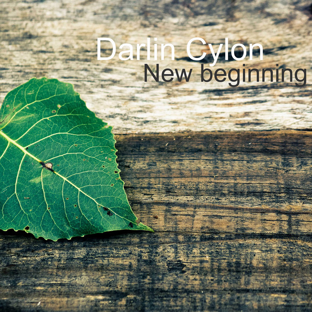 New Beginning cover