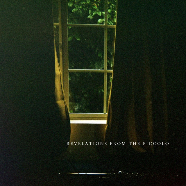 Revelations from the Piccolo cover art