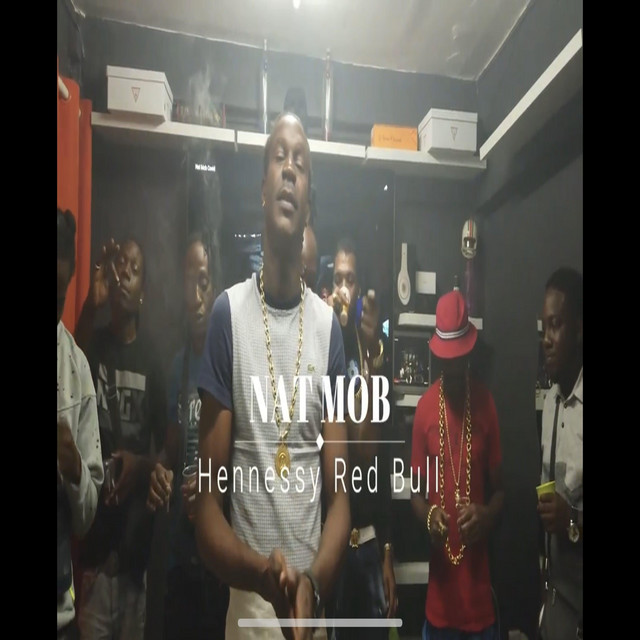 Nat mob | Spotify
