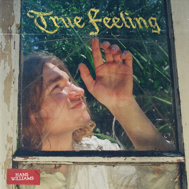 True Feeling album image