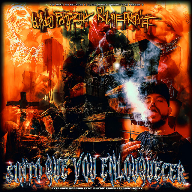 Sinto Que Vou Enlouquecer (Remix) cover
