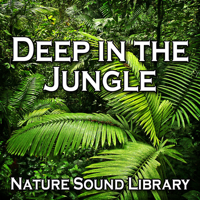 Nature Sound Library