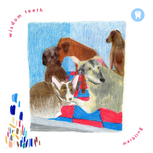 Wisdom Teeth cover art