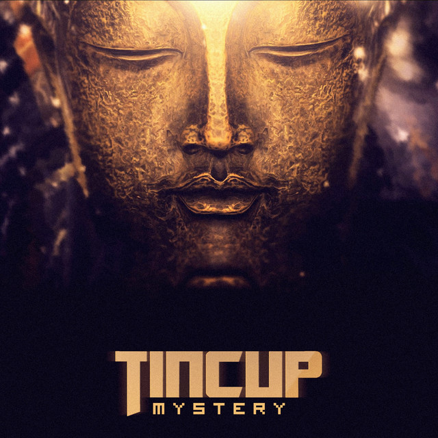 Mystery cover