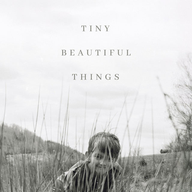 Tiny Beautiful Things cover