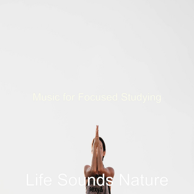 Music for Focused Studying - Album by Life Sounds Nature | Spotify