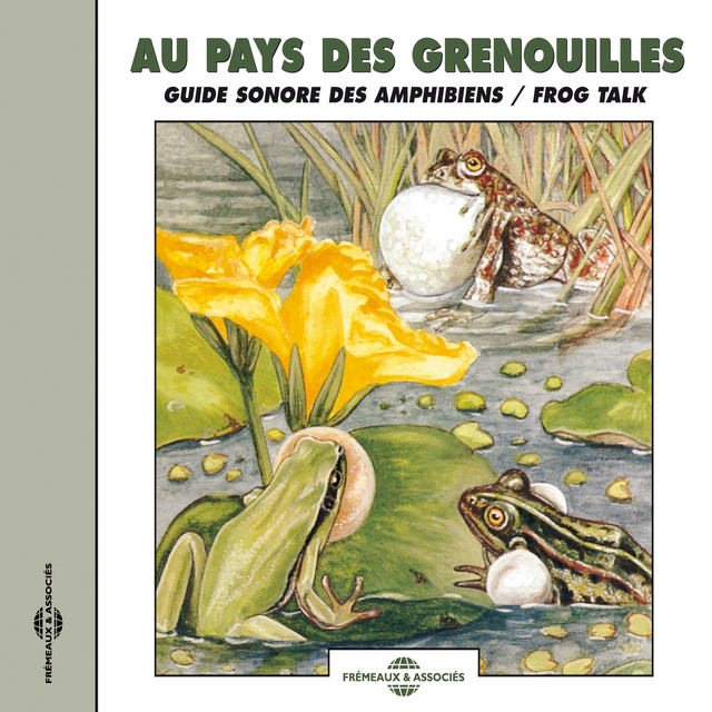Au Pays Des Grenouilles