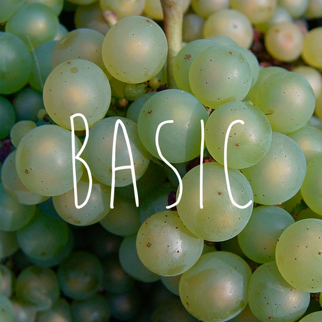 Basic cover art