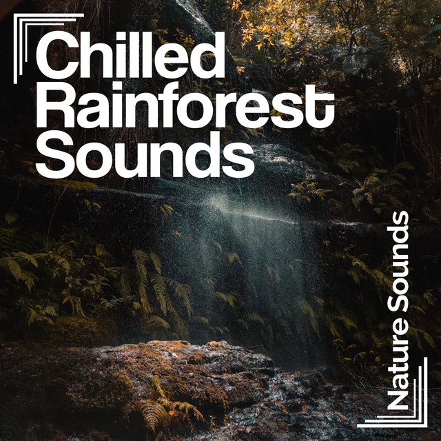 Chilled Rainforest Sounds - Album by Nature Sounds | Spotify