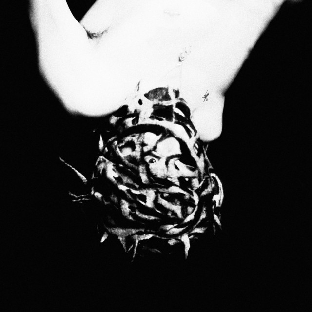 Probleem cover art