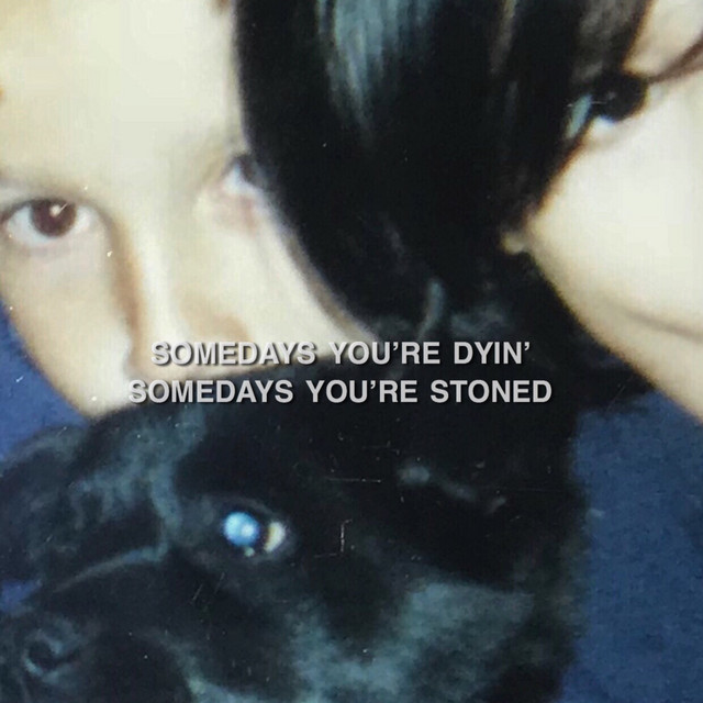 Somedays You're Dyin' Somedays You're Stoned cover art