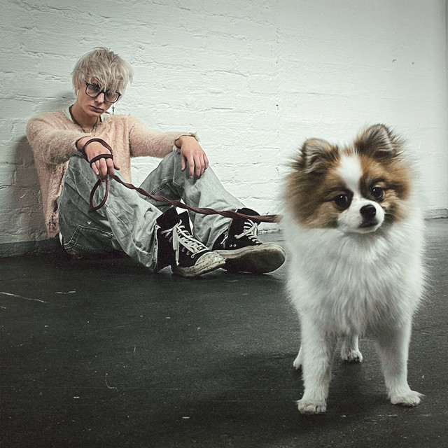 jos sä tahdot niin (feat. koira) cover art