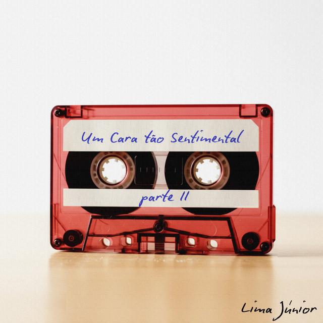 Um Cara Tão Sentimental, Vol. 2