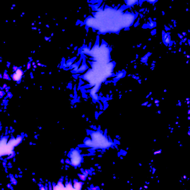 Empty cover art