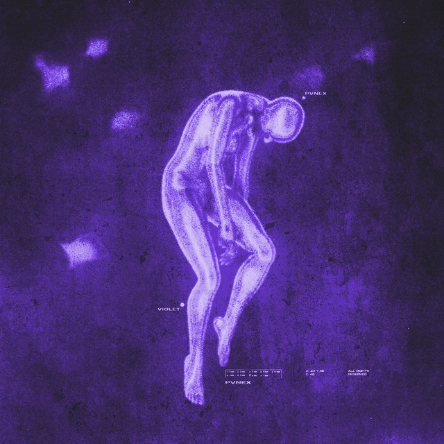 VIOLET 2: COUNT FOR NOTHING. cover art