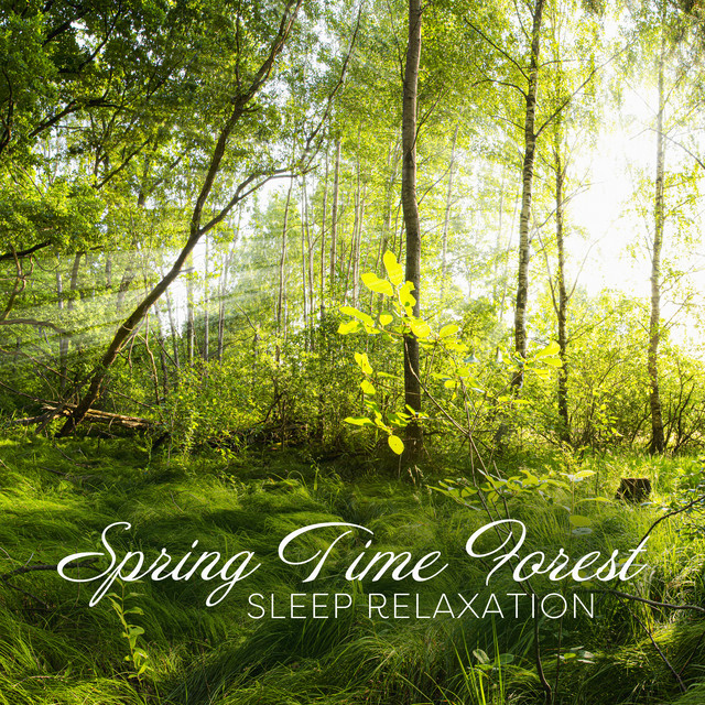 Spring Time Forest Sleep Relaxation - Album by Animal Melody Wizard ...
