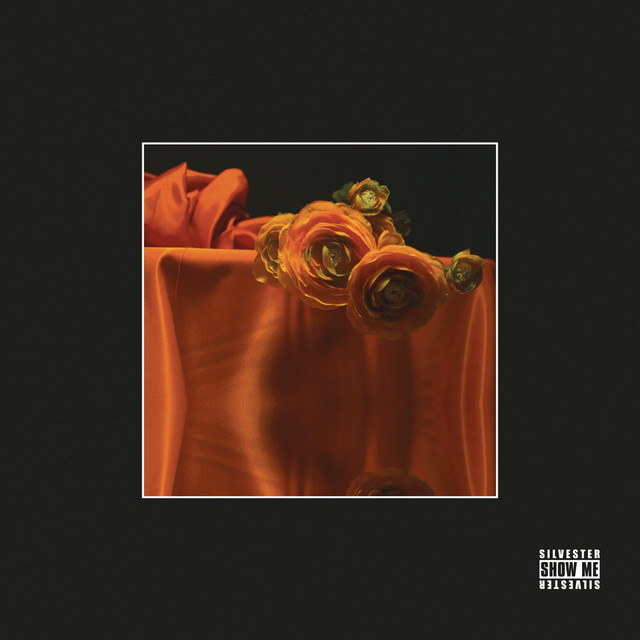 Show Me cover art