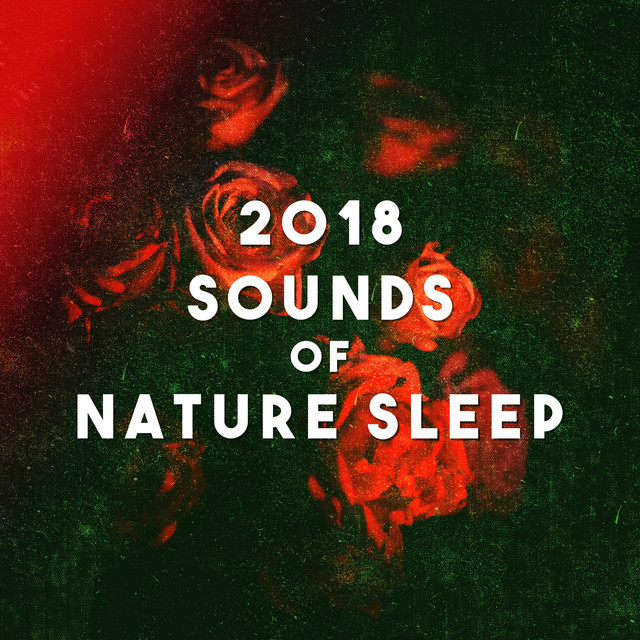 2018 Sounds of Nature Sleep - Album by Sleep Sounds of Nature | Spotify