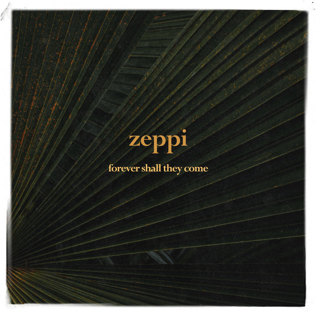 If Any There Be Just - song and lyrics by Zeppi | Spotify