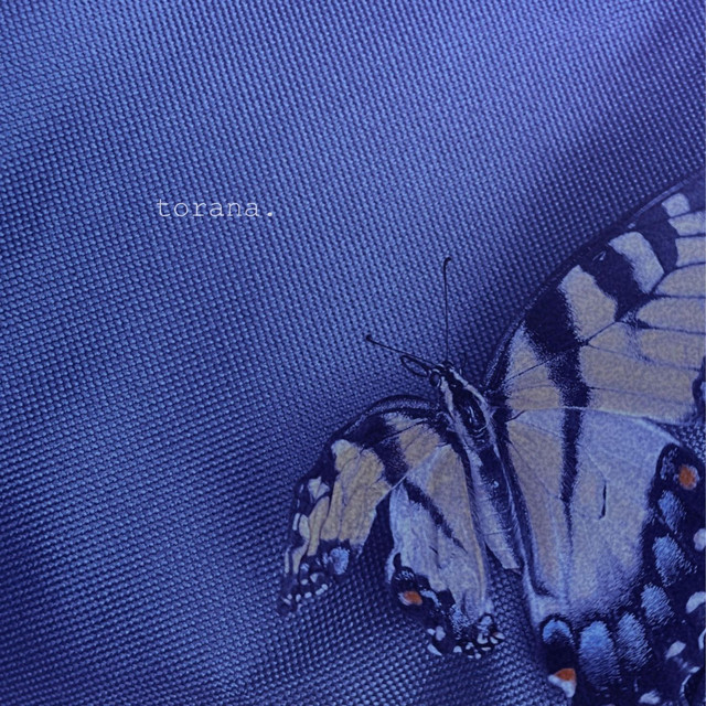 torana. EP cover art