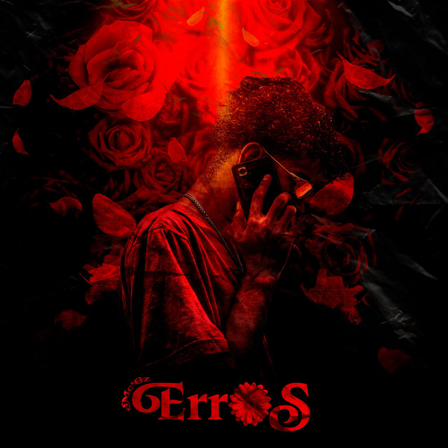 Erros