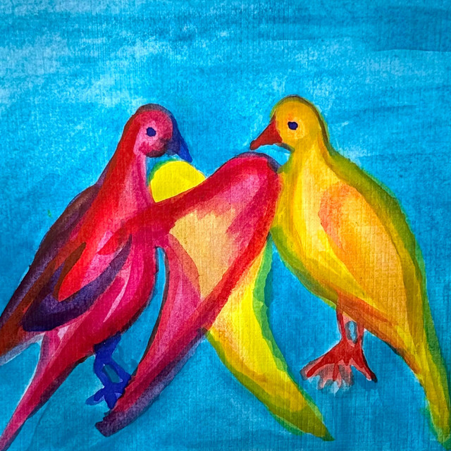 morning dove cover art