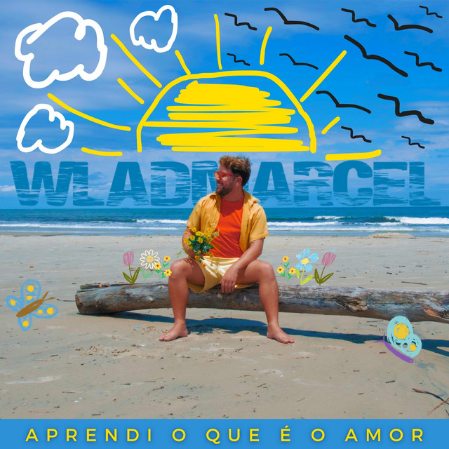 Aprendi o Que É o Amor cover art