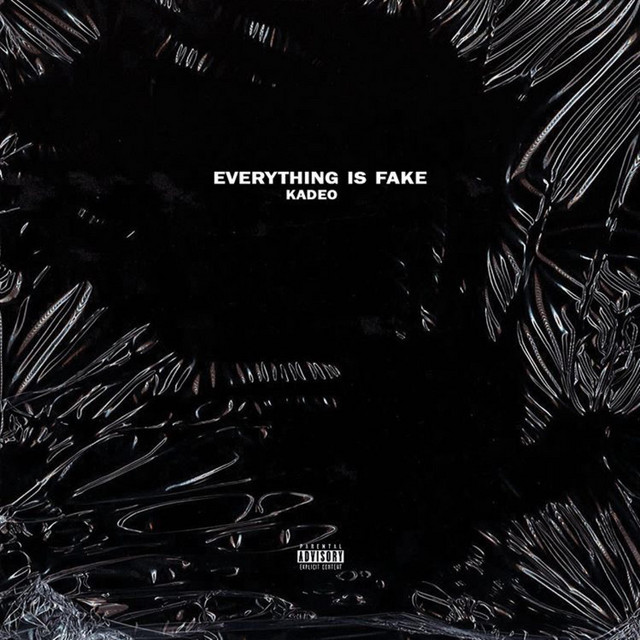 Everything Is Fake cover art
