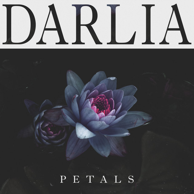 Petals cover art