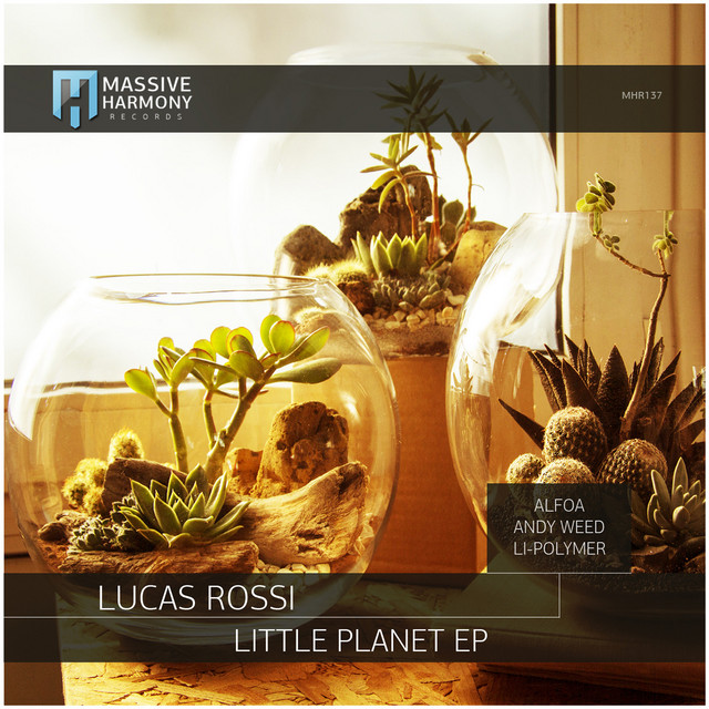 Little Planet - Li-Polymer Remix album art