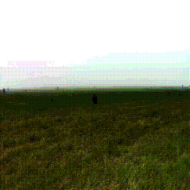 i took a shot cover art