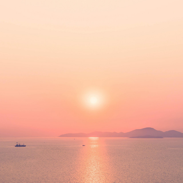 New Day