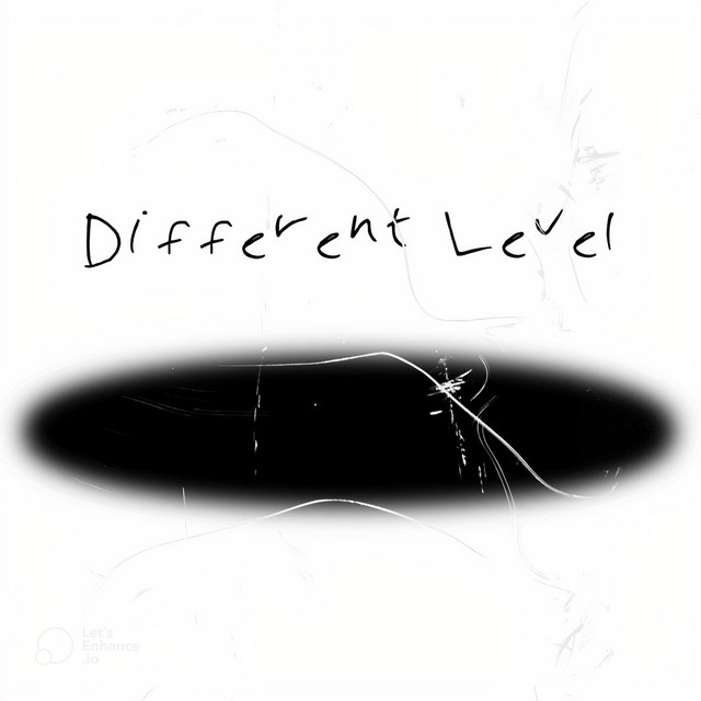 Different Level cover art