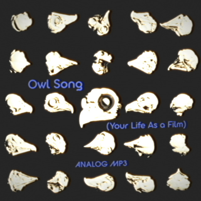 Owl Song (Your Life As a Film)