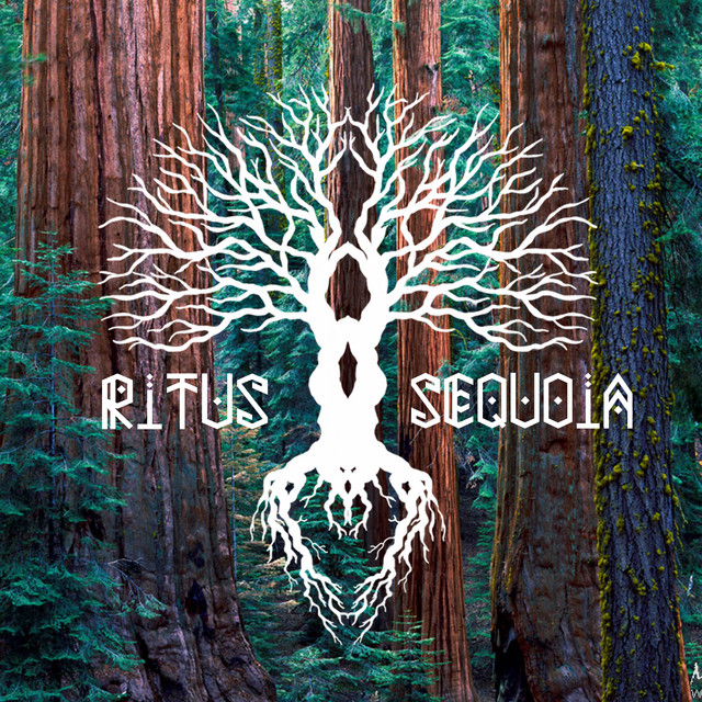 Ritus Sequoia