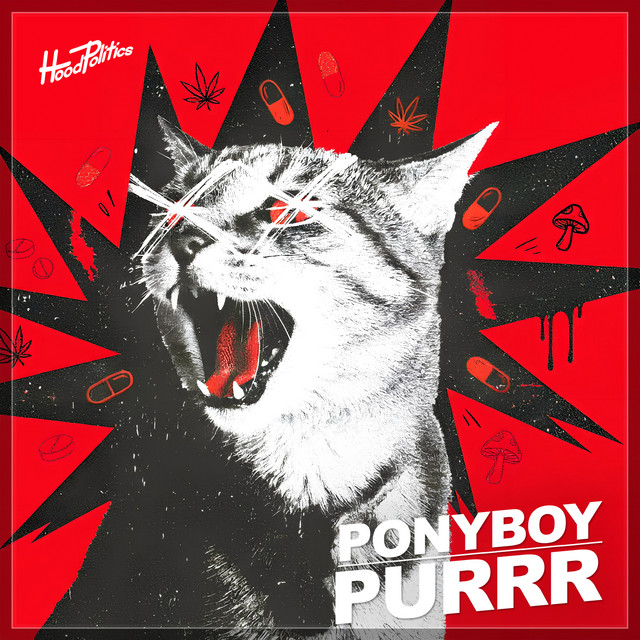 Purrr cover art