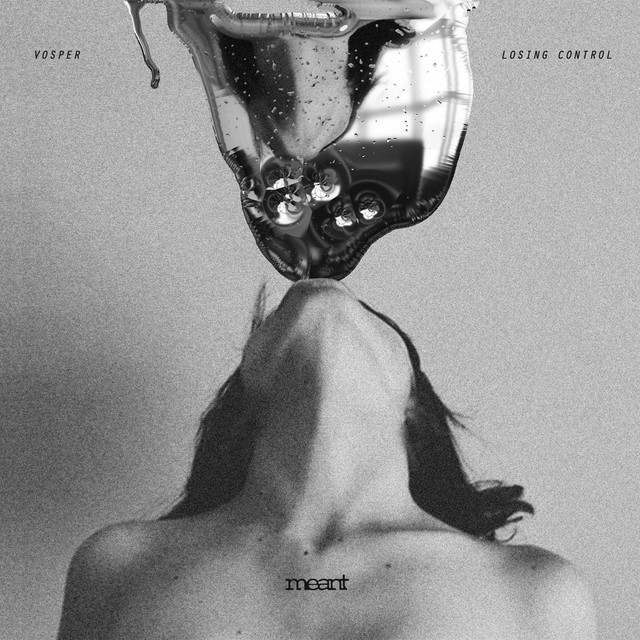 Losing Control cover art