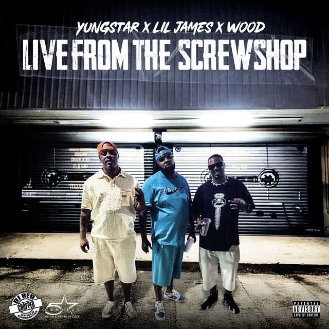 Live From The Screwshop cover art