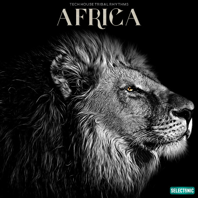 Africa: Tech House Tribal Rhythms cover art