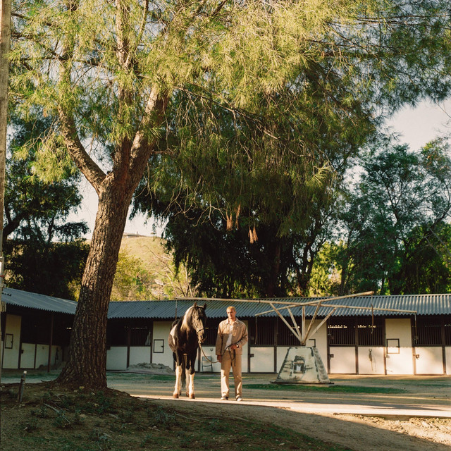 Stable cover art