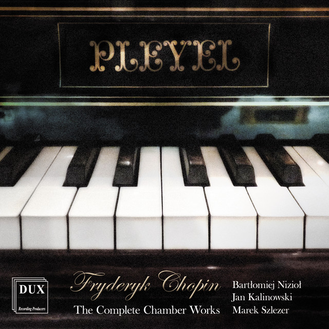 Piano Trio in G Minor, Op. 8, B. 25: I. Allegro con fuoco cover art