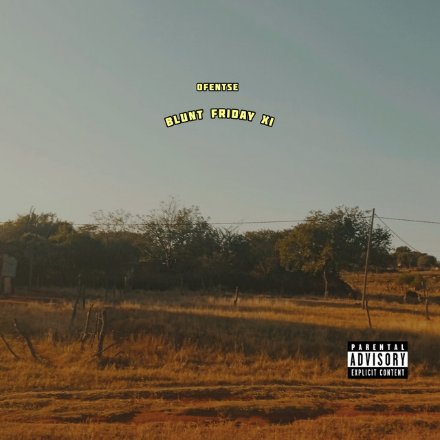 blunt friday xi cover art