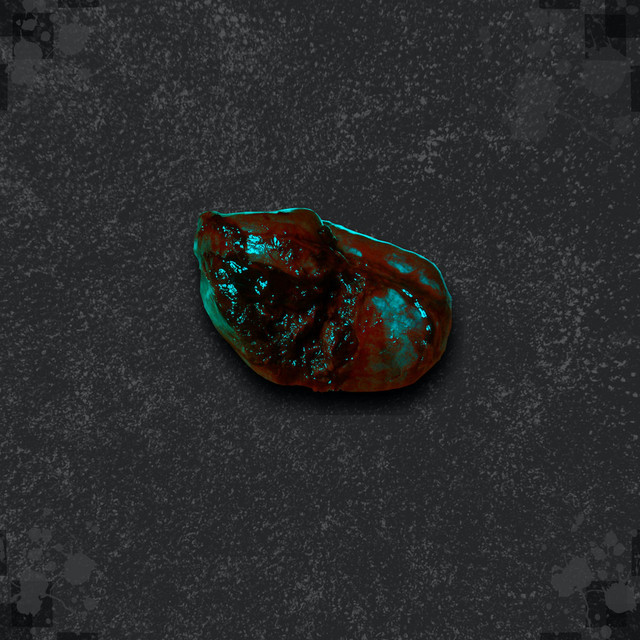 Baço cover art