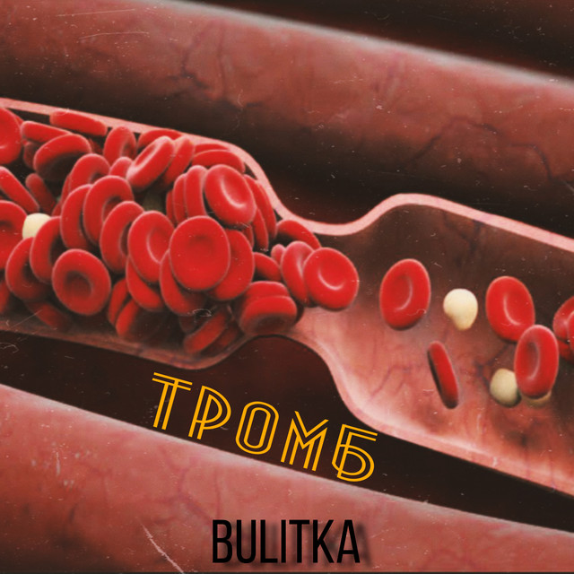 Обкладинка: Тромб — Bulitka